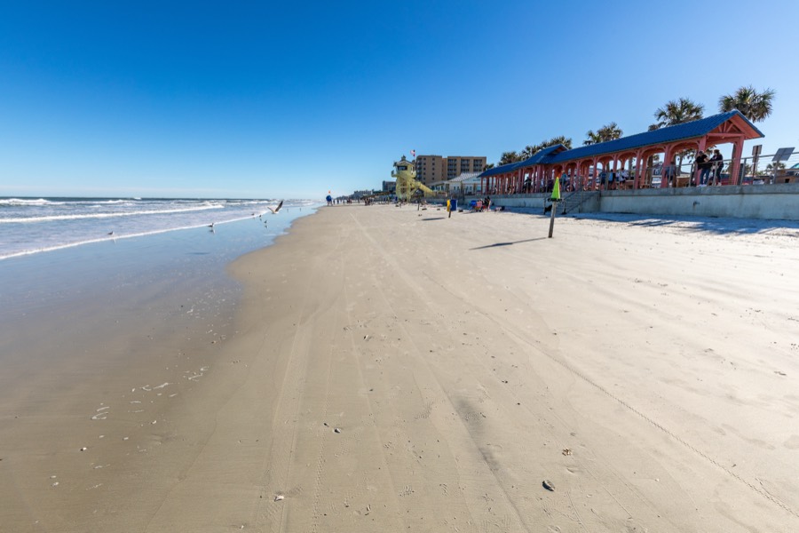 Flat sand beach with gentle surf and shorebirds