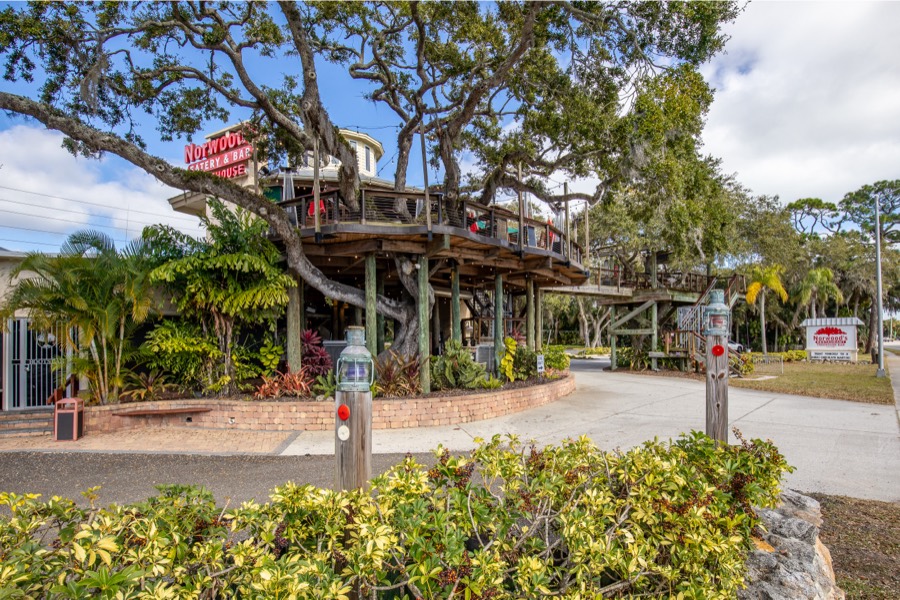 Treehouse-style restaurant built around a sprawling live oak